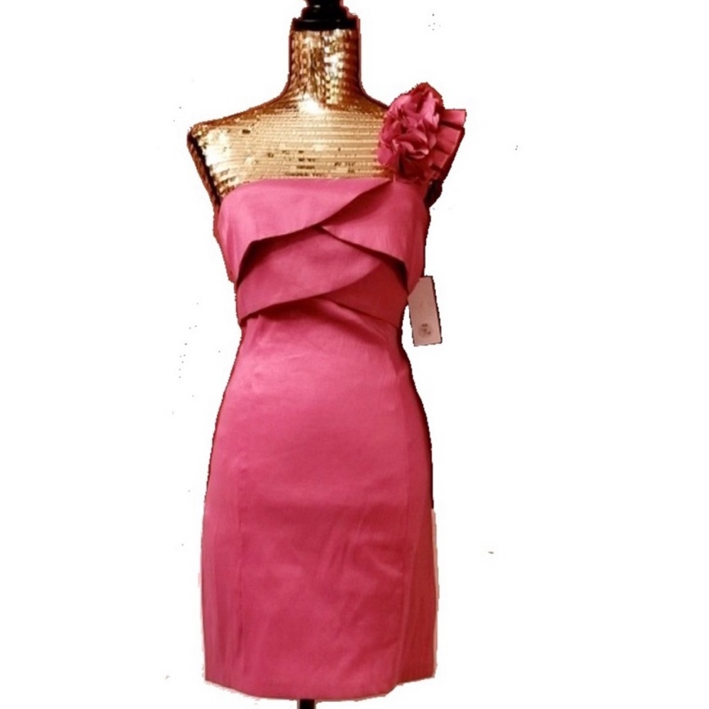 Fabulous Alyn Paige Fuchsia One Shoulder Dress